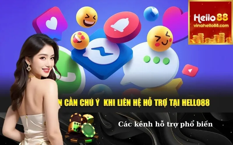 Các kênh hỗ trợ phổ biến