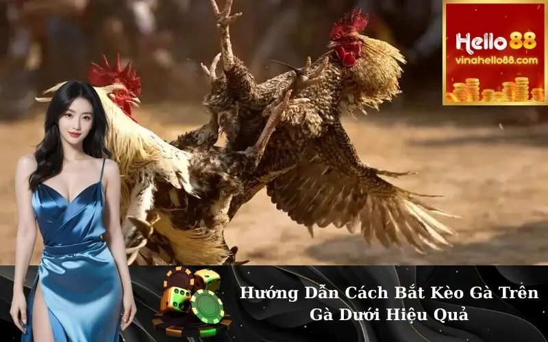 Hướng Dẫn Cách Bắt Kèo Gà Trên Gà Dưới Hiệu Quả