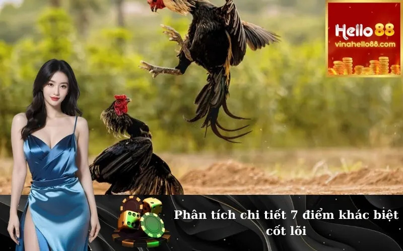 Phân tích chi tiết 7 điểm khác biệt cốt lõi